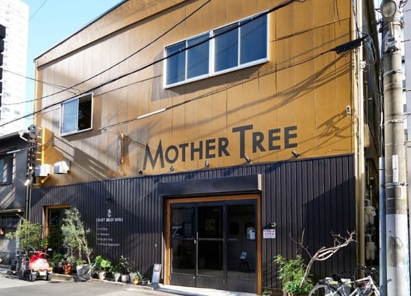 CRAFT BEER BASE MOTHER TREE