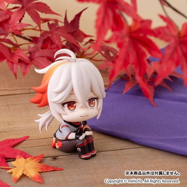 Vista del producto 8