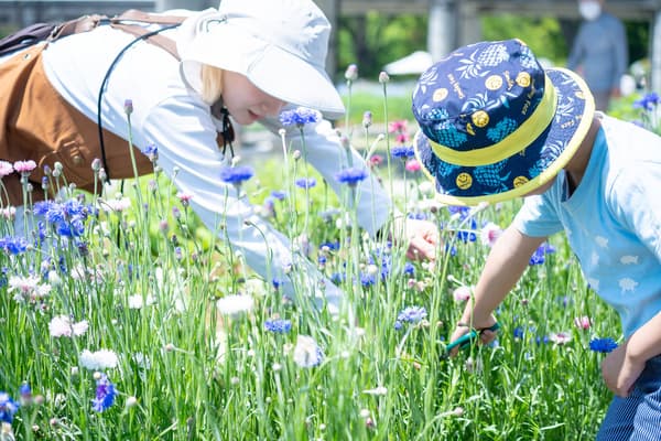 Child gathering flowers for a workshop