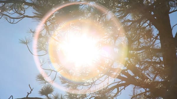 川内伦子，《Illuminance》，2001-26 年，双通道视频，东京都写真美术馆藏