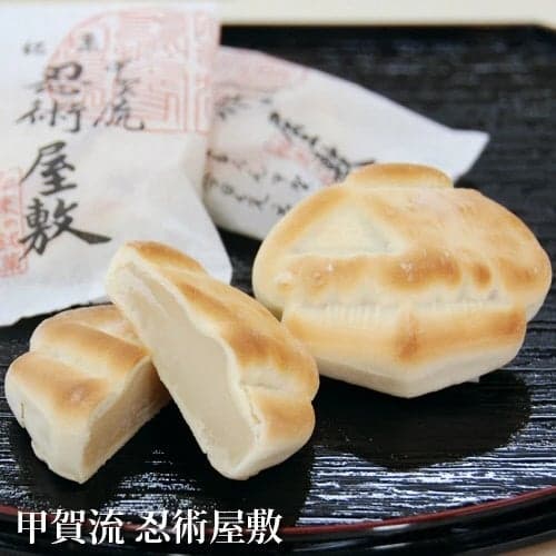 甲贺流忍术屋敷