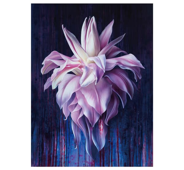 木村佳代子的作品