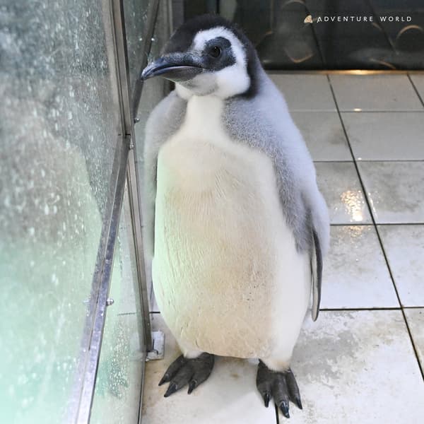 Day 122 (January 30)