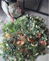 日本永續花卉協會標誌