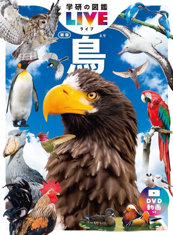 Book cover of the Birds volume
