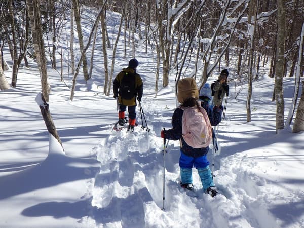 Paseo con raquetas de nieve en el bosque nevado de Takino