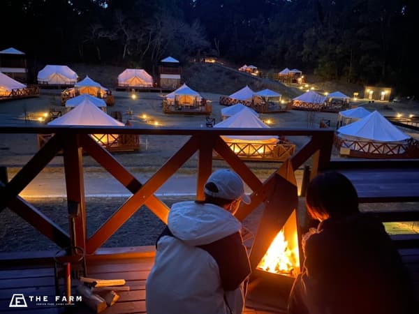 Campfire with crackling firewood