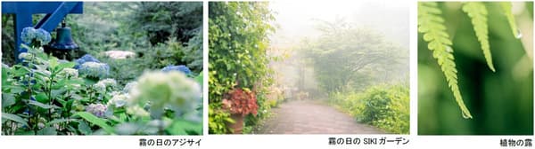 六甲山區雲霧繚繞的全景風光
