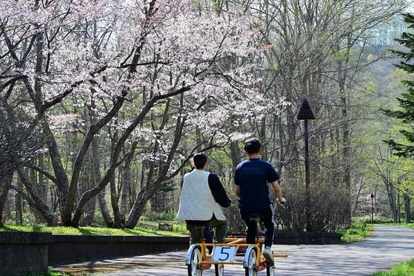 Takino Suzuran Hillside National Government Park in Green Season