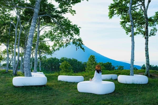 New benches under birch trees at the Yotei Panorama Terrace