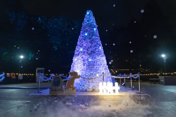 White Terrace of Snow and Light decorations