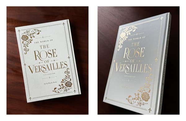Art book cover