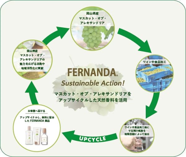 升級再造亞歷山大麝香葡萄香氛成分圖