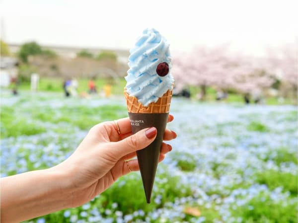 粉蝶花软冰淇淋图像