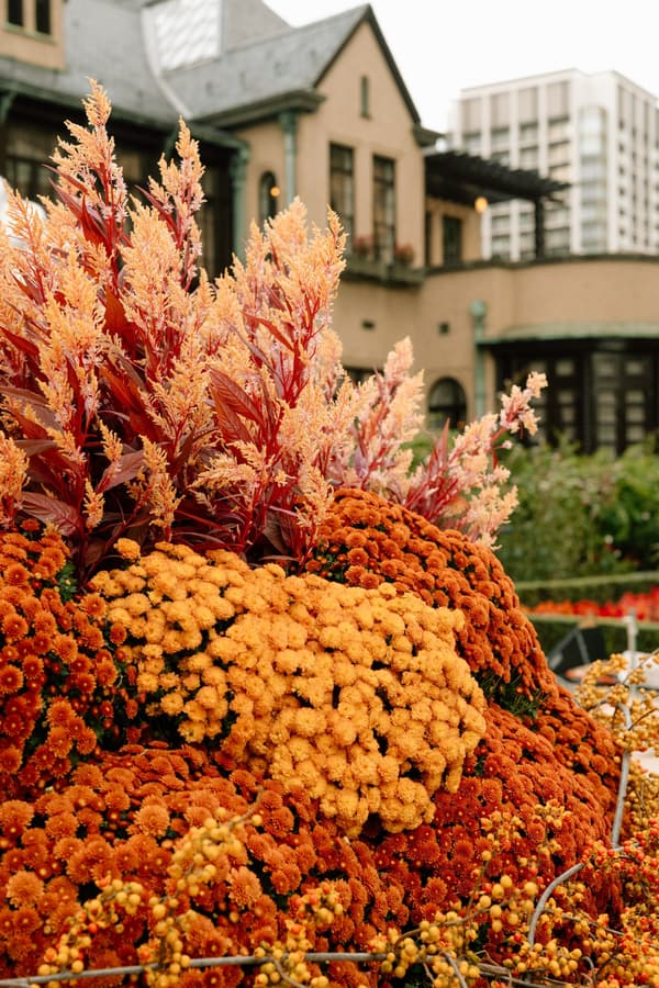 Flower installation