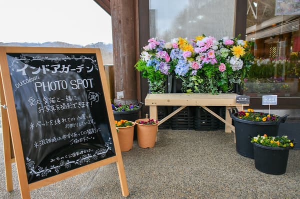 การจัดดอกไม้กระถางที่สร้างสรรค์โดยผู้เข้าร่วมในประสบการณ์ Petit Volunteer