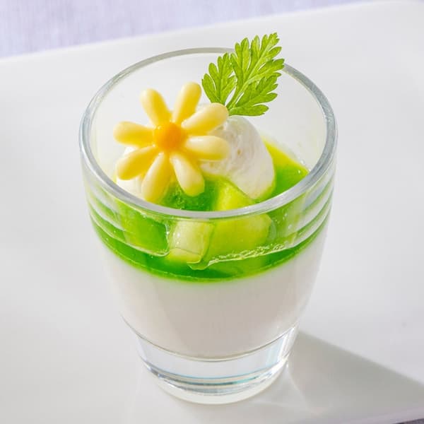 Melon Panna Cotta