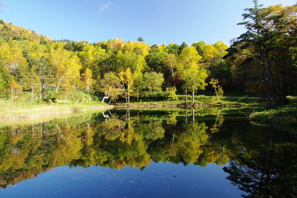 Ushi-ike Pond in autumn