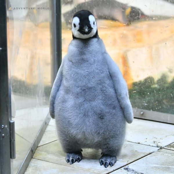 Day 48 (November 17)