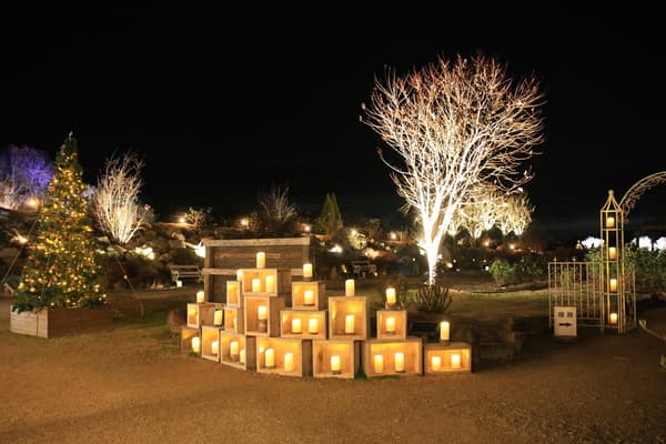 Sera Kogen Candle Night (2025)