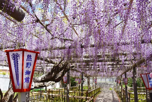 2026年4月14日拍摄