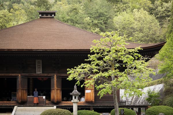 การเดินทางสู่อดีตขององุ่นยามานาชิเริ่มต้นที่วัด Daizen-ji ซึ่งเชื่อกันว่าเป็นสถานที่ที่องุ่นมาถึงเป็นแห่งแรก