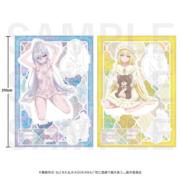 Big Acrylic Stand