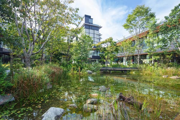 GREEN SPRINGS plaza view 2