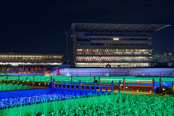 TOKYO MEGA ILLUMINATION