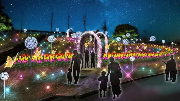 花之銀河