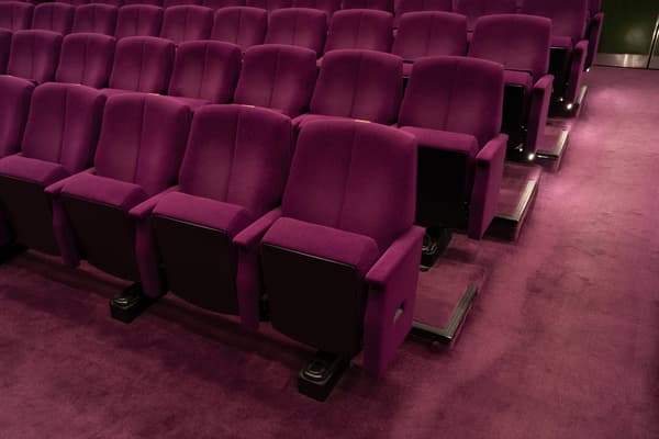 带丝绒的舒适椅