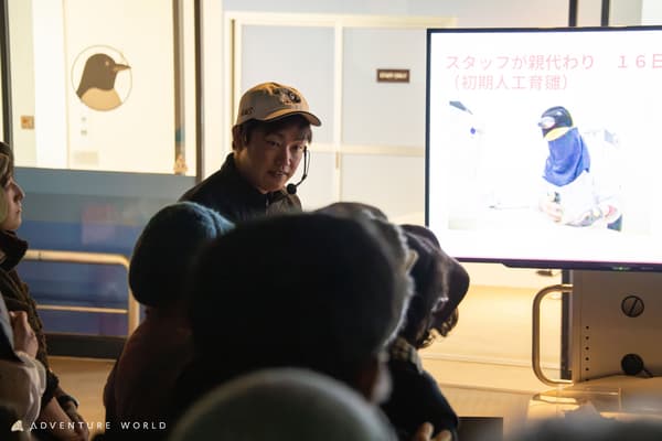 企鹅宝宝侧视图