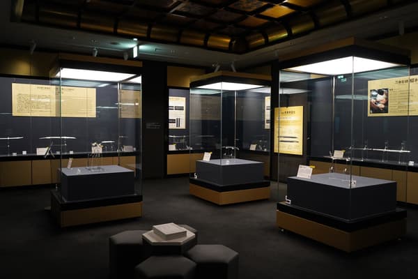 La exposición especial