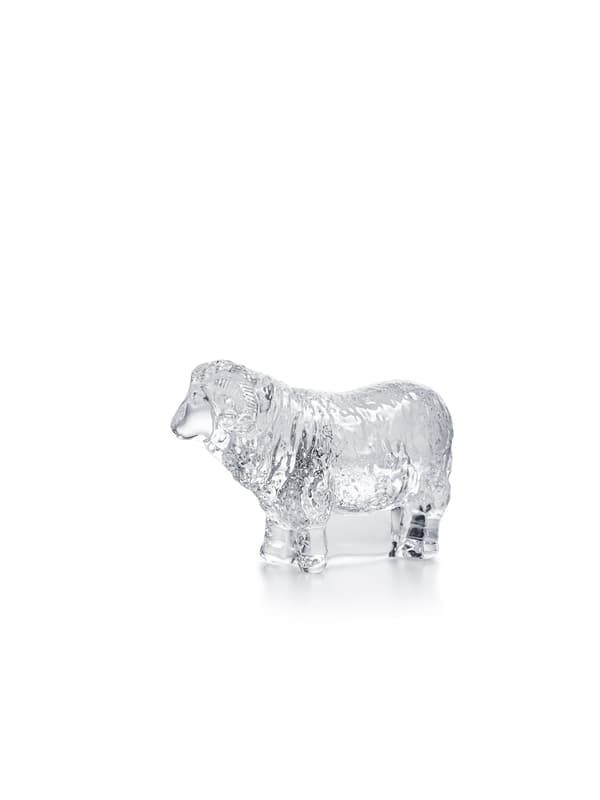 Ornamen Zodiak Domba warna bening