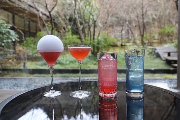 Hakone Kowakien Ten-Yu