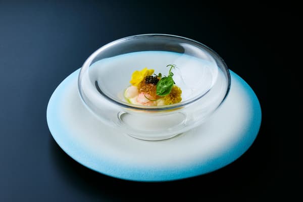牡丹蝦配貝類凍、花椰菜慕斯與魚子醬