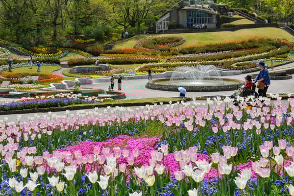 ทิวทัศน์ดอกไม้ฤดูใบไม้ผลิ (Irodori-no-hiroba)