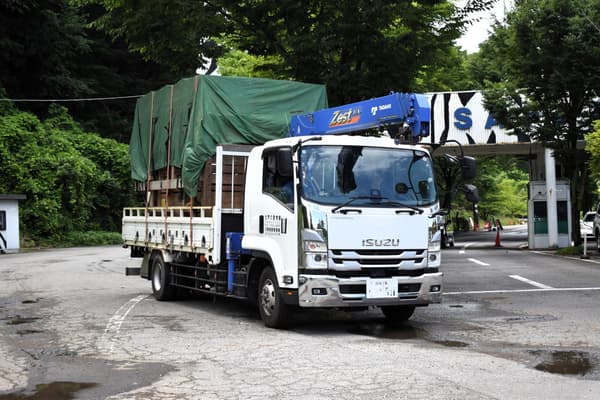 Suzumaru, the newly arrived male giraffe