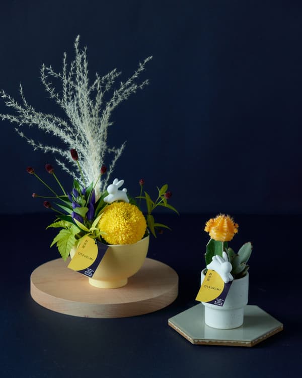 Arreglo de Otsukimi y jardinera de Hibotan