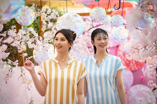 温室内猪苗代香草园春季装置艺术