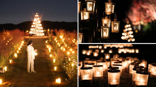 Sera Kogen Candle Night (2025)