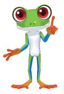 Andres the Red-Eyed Tree Frog