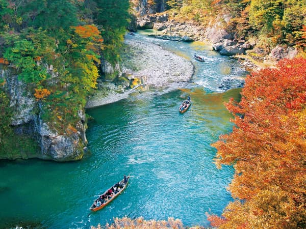 ล่องเรือในแม่น้ำคินุท่ามกลางใบไม้เปลี่ยนสี