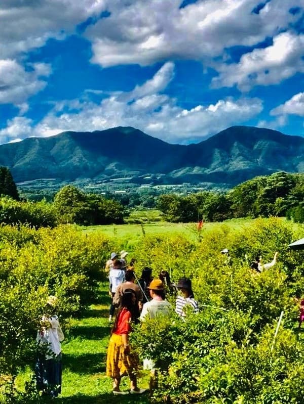 Hiruzen Kogen Cultivate Garden
