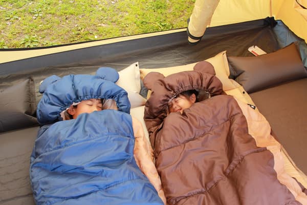 같은 시리즈, 다른 컬러