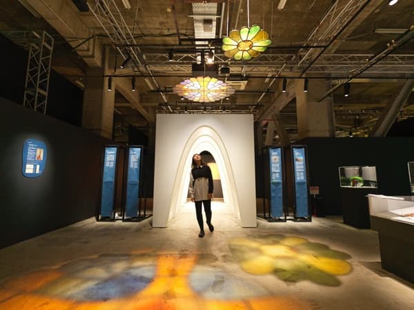 区域 5 标题：生命的形式 ③