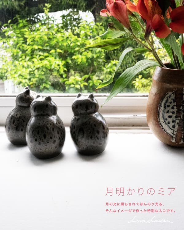 문라이트 미아 근접 사진