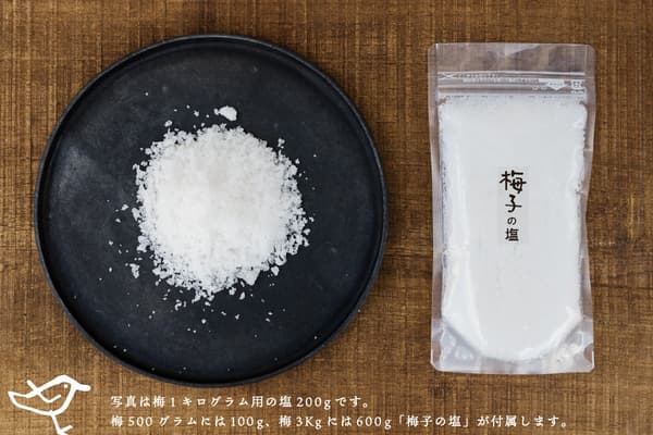 Umeko no Shio — the specially blended salt included in the kit