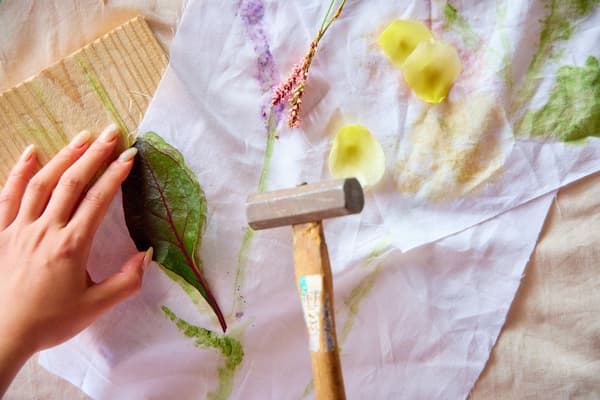 Science experiment extracting pigment from leaves