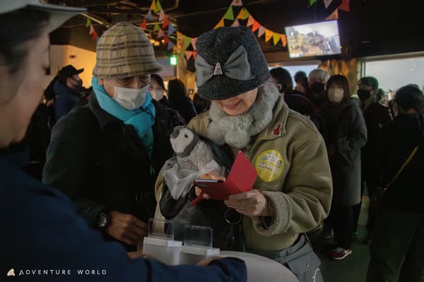 探索中的企鹅宝宝